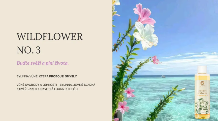 dews-3.png dews-3.png