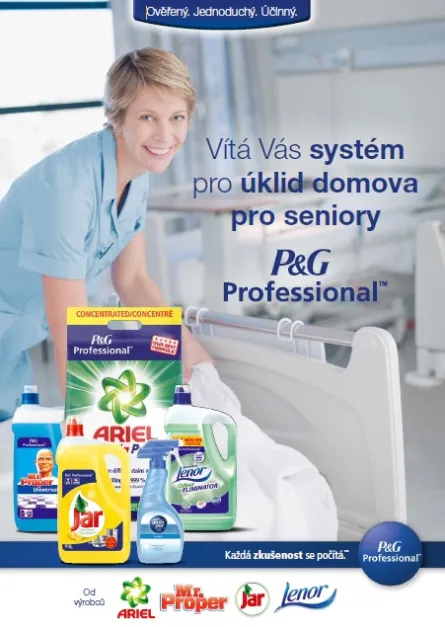 uklid-PG-professional