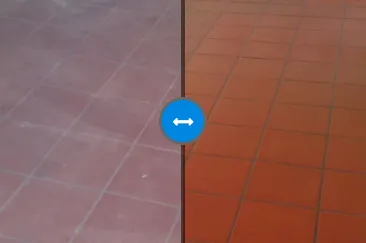 terakota_spina.png terakota_spina.png