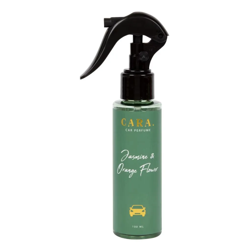 darauto2_luxusni_vune_do_auta_vybaverniprouklid.cz