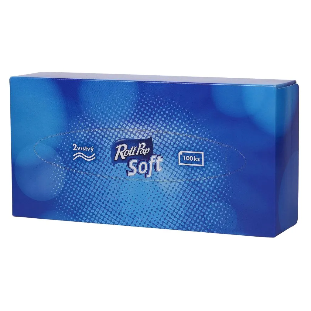 PKRP_rollpappapirove_kapesniy_100ks_2vrstvy_vybaveniprouklid.cz