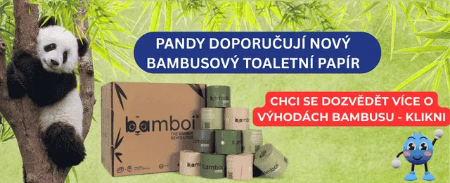 Bamboi