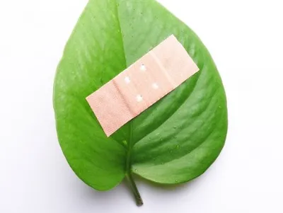 Certifikát enviromentálního vyúčtování 2019