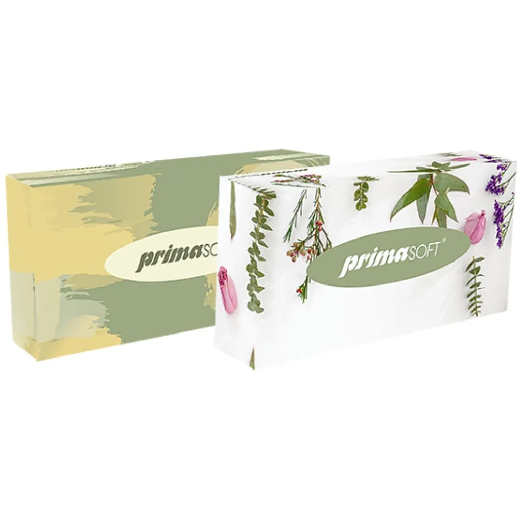 Primasoft1